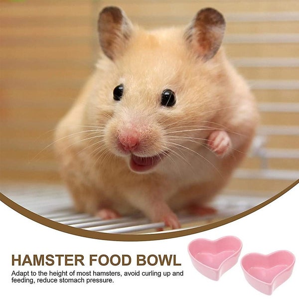 Set Of 2 Small Animal Bowls Ceramic Food Water Bowl For Hamsters Carousel 2