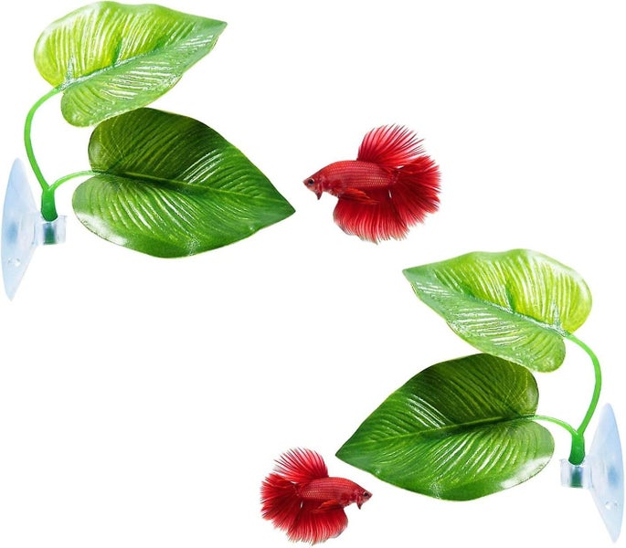 Fish Leaf Pad natural Organic Comfortable Rest Area For Fish Aquarium Carousel 1