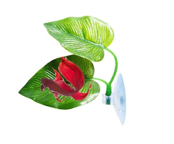 Fish Leaf Pad natural Organic Comfortable Rest Area For Fish Aquarium Carousel 5