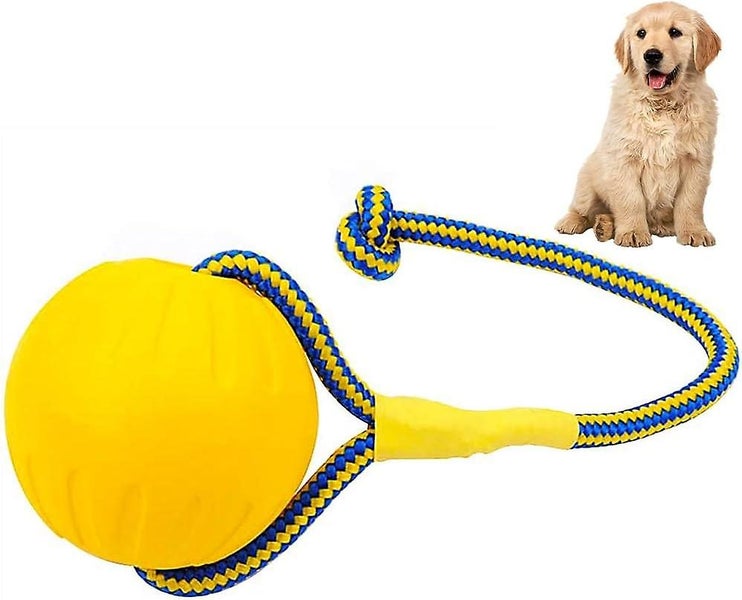 Dog Interactive Ball Launcher For Pet Play Training Exercise With Rope - 7cm Di Carousel 1