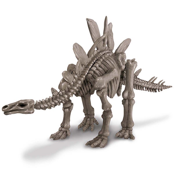 Dig A Stegosaurus Skeleton Carousel 2
