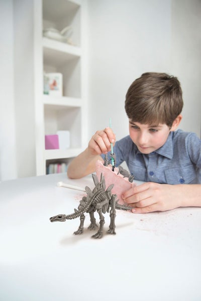 Dig A Stegosaurus Skeleton Carousel 3