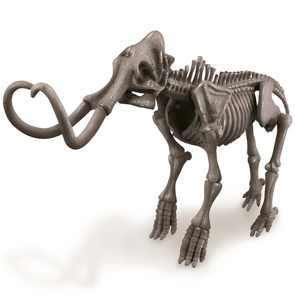 Dig A Mammoth Skeleton Carousel 2