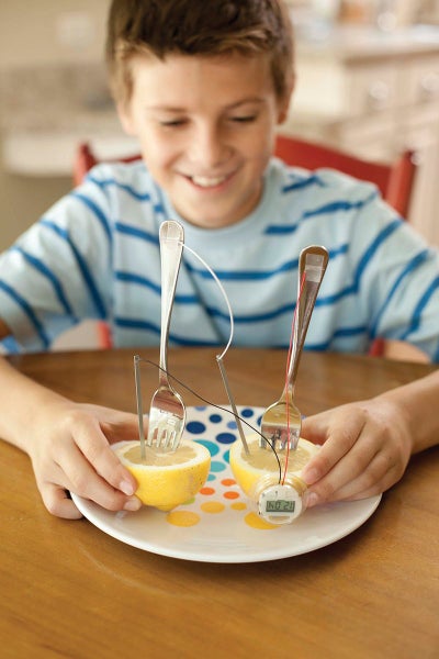 Lemon Clock Carousel 4