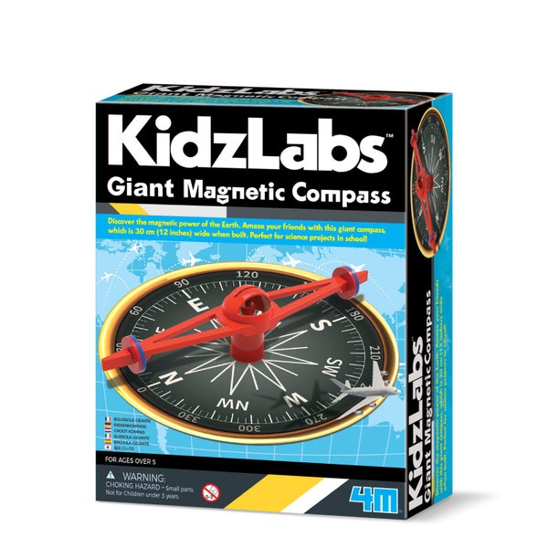 Giant Magnetic Compass Carousel 1