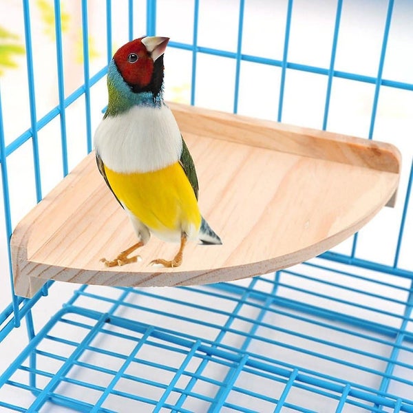 Pet Bird Perch Platform Stand Wood For Small Animals Parrot Parakeet Conure Co Carousel 1