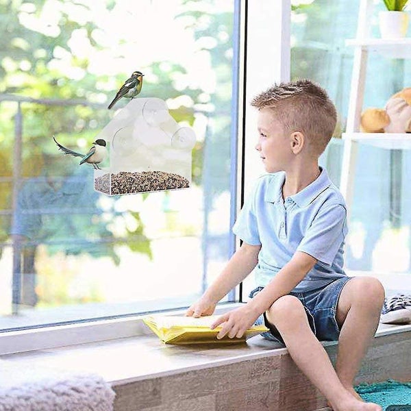 Removable Window Bird Feeder Carousel 5