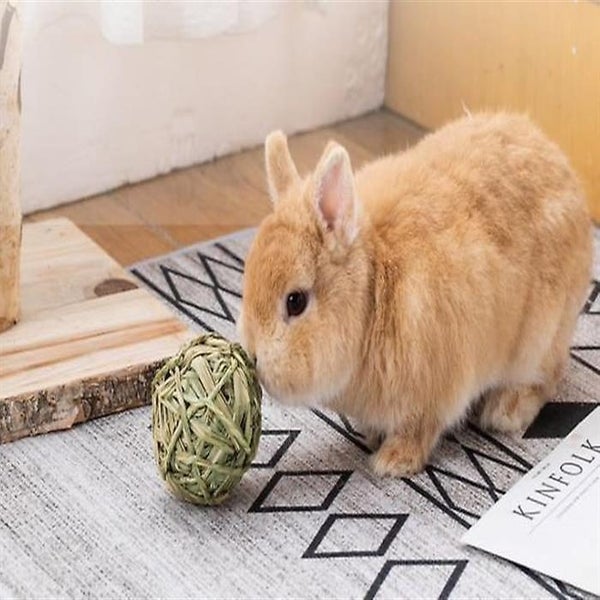 6 Pcs Small Animal Chew Ball Toy Rolling Activity Play Balls Bunny Treat Ball Carousel 3