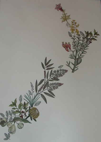 NZ Flora in the Form of a Map of NZ Carousel 1