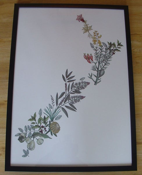 NZ Flora in the Form of a Map of NZ Carousel 4