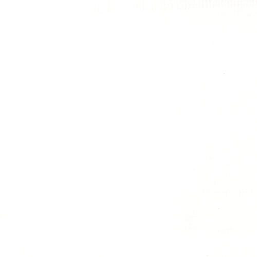 Liquitex Professional Acrylic Ink 30ml TITANIUM WHITE Carousel 2