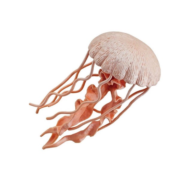 Safari Ltd Jellyfish Carousel 1