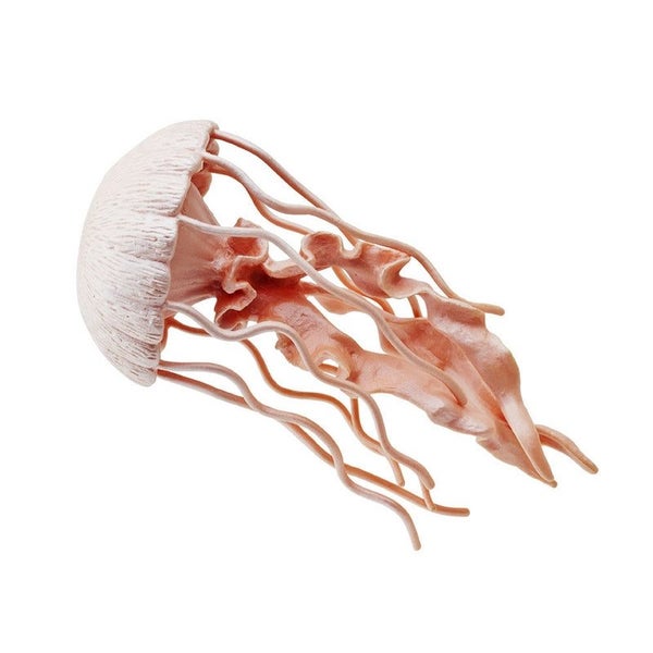 Safari Ltd Jellyfish Carousel 2