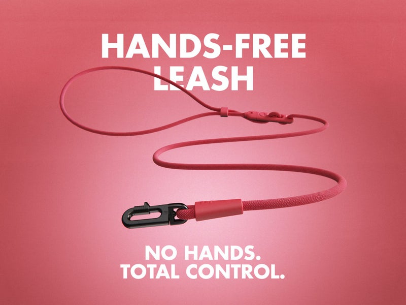 ZEE.DOG HANDSFREE LEASH - GRAVITY Carousel 2