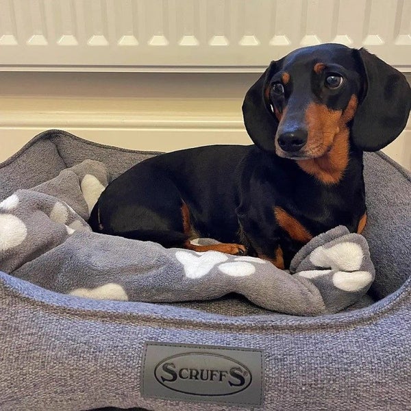 DOG BED SCRUFFS MANHATTAN BOX BED GREY MEDIUM Carousel 2