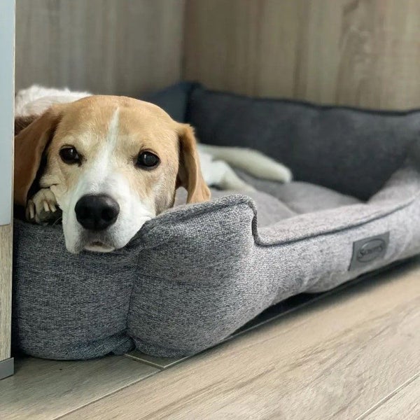 DOG BED SCRUFFS MANHATTAN BOX BED GREY XTRA LARGE Carousel 1