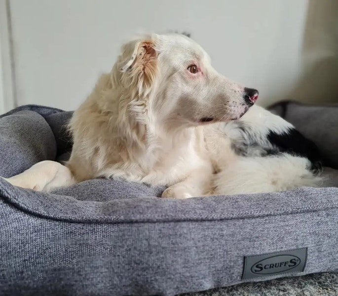 DOG BED SCRUFFS MANHATTAN BOX BED GREY XTRA LARGE Carousel 2