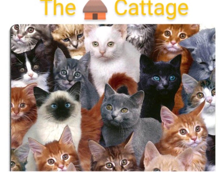 THE CATTAGE - Gorgeous Kitten Mouse Pad Add Cuteness To Your Desk/Laptop Carousel 1