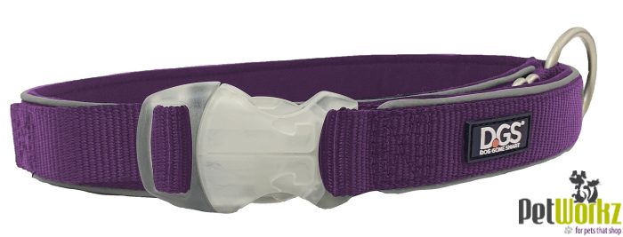 DOG COLLAR COMET RECHARGEABLE LIGHT UP SAFETY COLLAR MEDIUM PURPLE 25MM 45-63CM Carousel 1