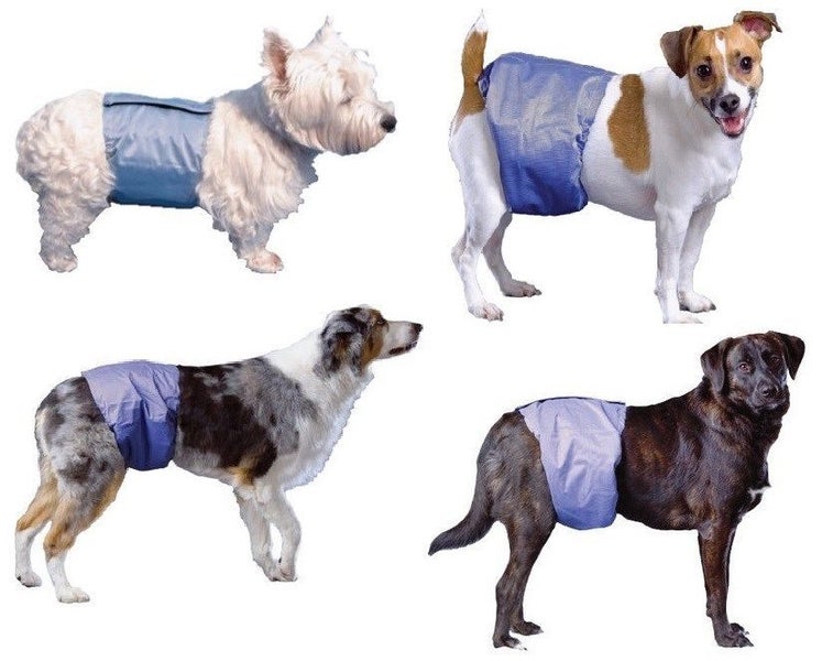 DOG BELLY BAND BY POOCHPANTS PROTECTIVE PANTS MALE LARGE Carousel 1