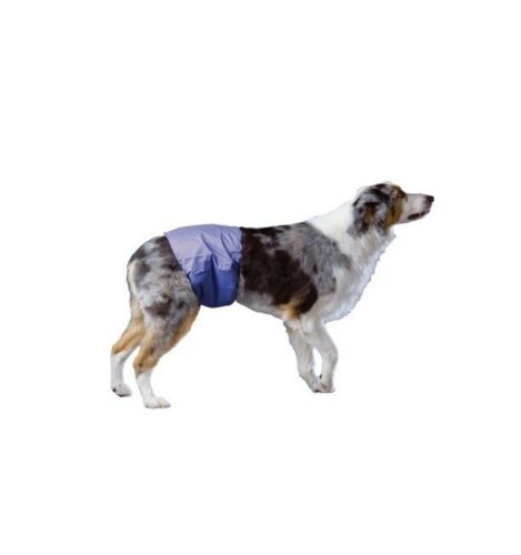 DOG BELLY BAND POOCHPANTS PROTECTIVE PANTS MALE MEDIUM Carousel 6