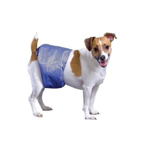 DOG BELLY BAND POOCHPANTS PROTECTIVE PANTS MALE XTRA LARGE Carousel 6