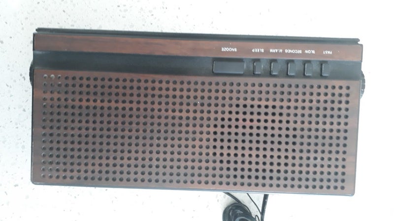 Hunter electronic clock radio Carousel 2