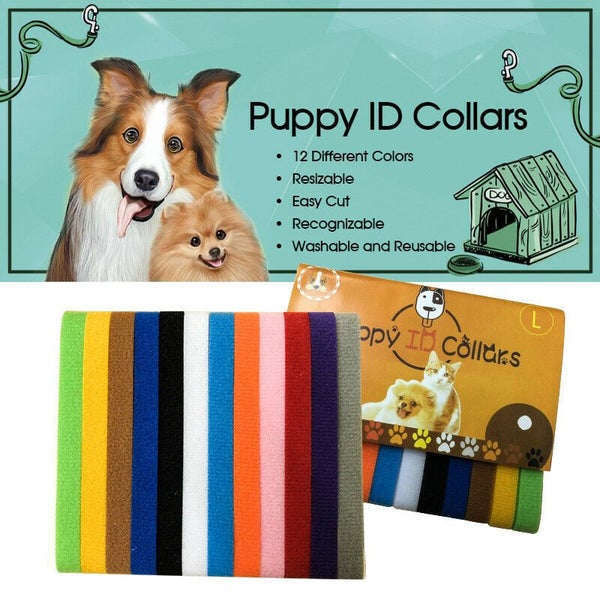 12x Pet ID Bands Kitten Tags Whelping Puppy Dog Identification Tags Collar Carousel 2