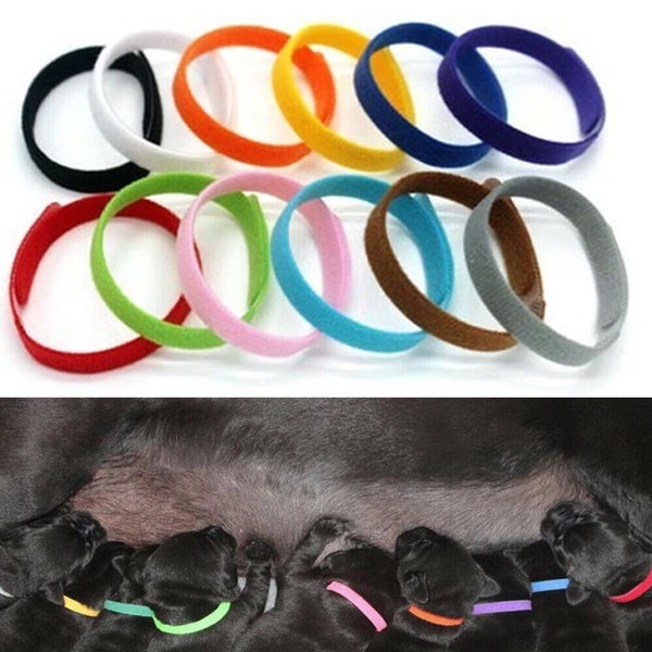 12x Pet ID Bands Kitten Tags Whelping Puppy Dog Identification Tags Collar Carousel 1
