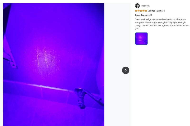 NEW new UV Torch Light Blacklight 395nM Pet Urine Stains *Clearance* Carousel 2