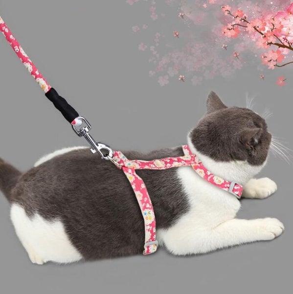 Cat Kitten Strap Harness & Leash Carousel 1