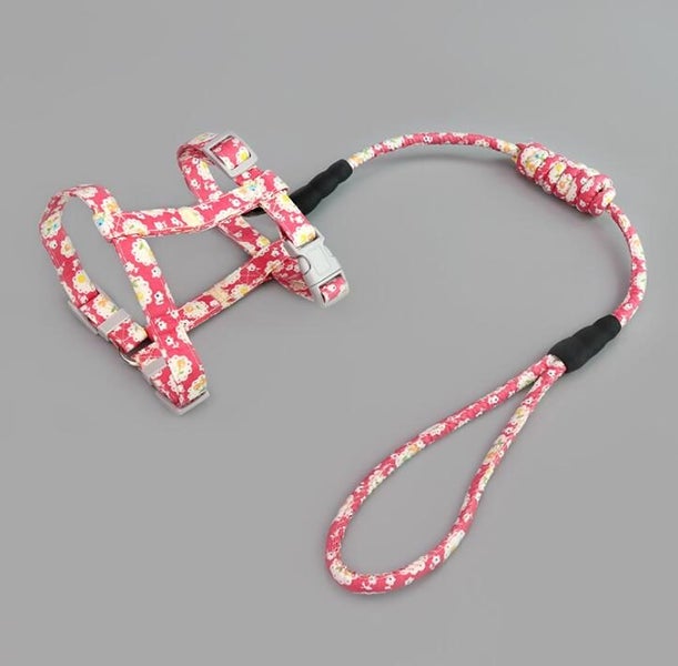 Cat Kitten Strap Harness & Leash Carousel 2