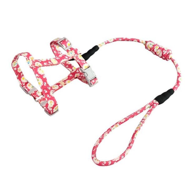 Cat Kitten Strap Harness & Leash Carousel 3