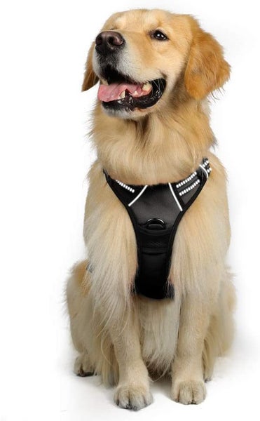 Adjustable Dog Harness Tactical Lead Vest Outdoor Leash Extra Large XL Carousel 1