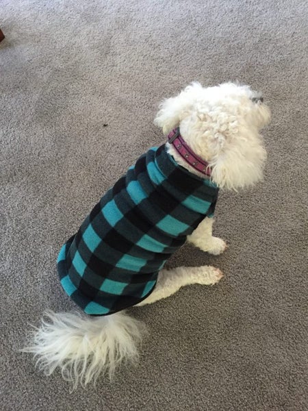 Lovely warm dog coat**SALE Carousel 1