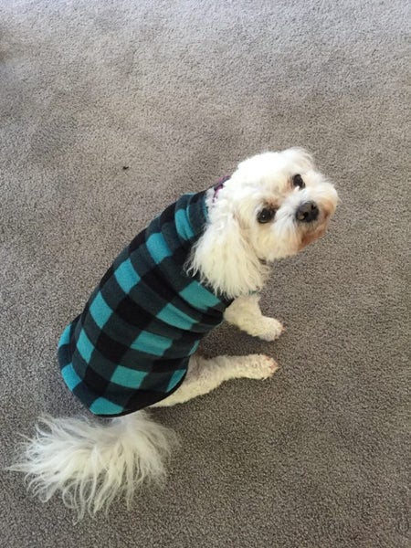 Lovely warm dog coat**SALE Carousel 2