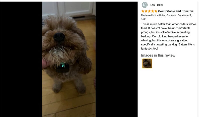New Anti Bark Dog Collar on Afterpay Carousel 13