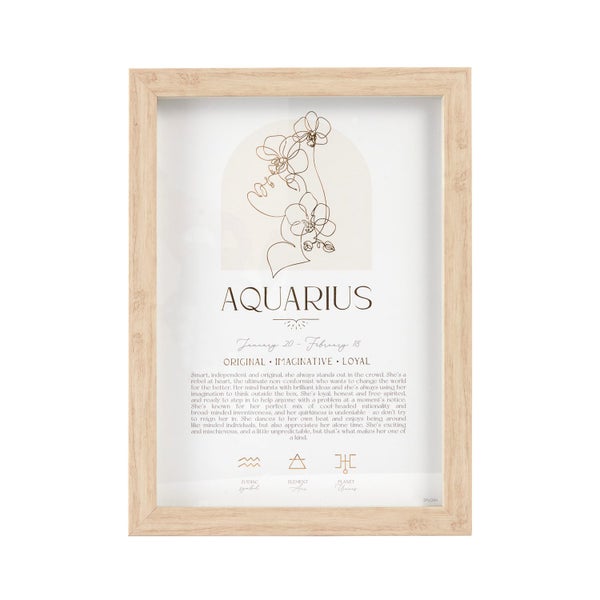 Splosh Mystique Framed Print Aquarius Standing Hanging Zodiac Decor 20x33cm Carousel 1