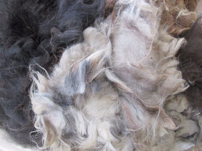 Llama Fleece #30, 1kg. Natural blend of Chocolate, appaloosa and chestnut brown Carousel 1