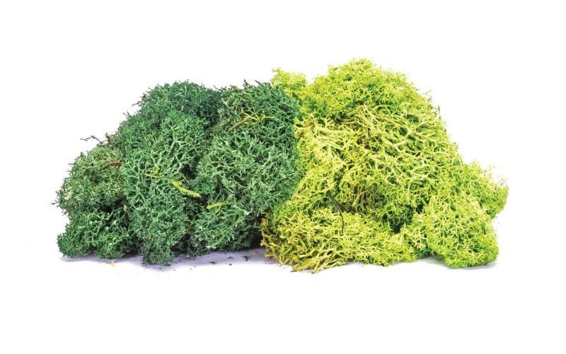 Model Scenery - Lichen Large Green Mix Carousel 1