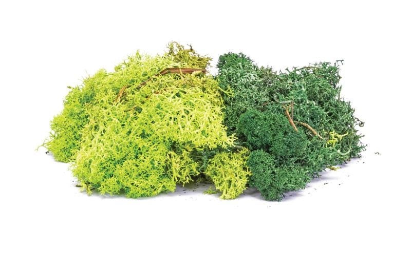 Model Scenery - Lichen Green Mix Carousel 1