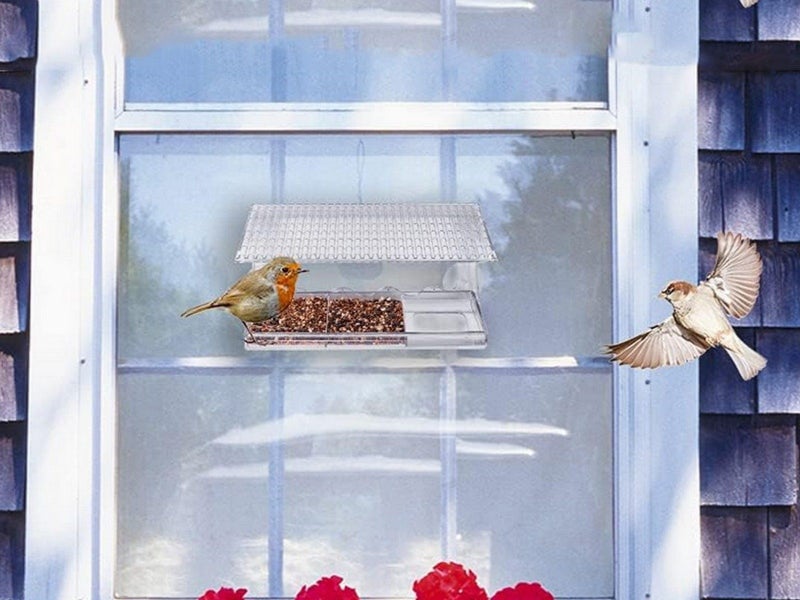 Outdoors Window Clear Bird Feeder with Strong Suction Cups Carousel 5