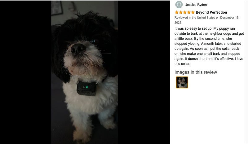 New Anti Bark Dog Collar on Afterpay Carousel 10