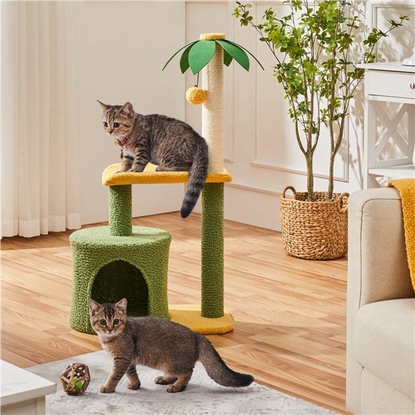 Coconut Palm Cat Tree Carousel 8