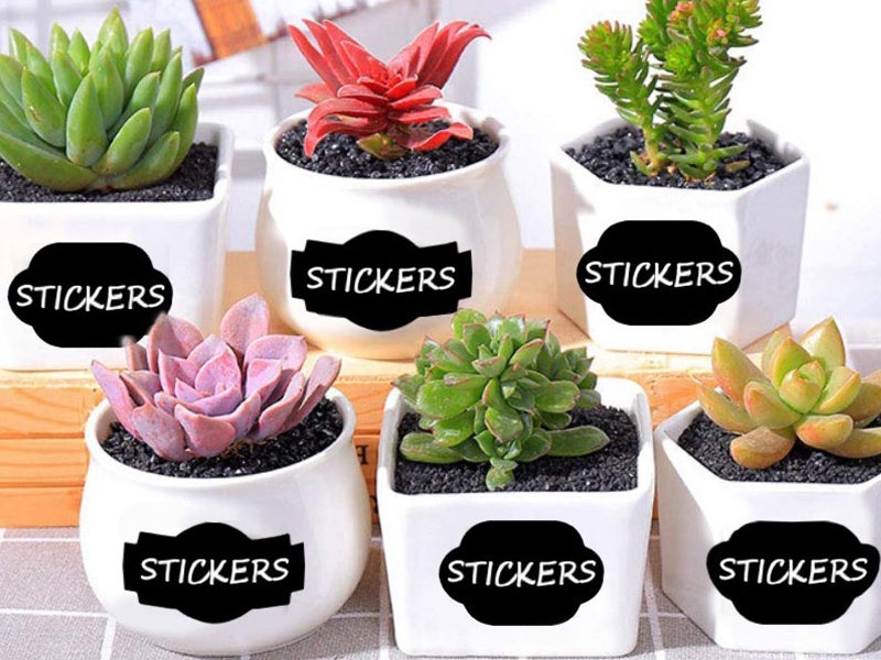 1 Roll 300Pcs Chalkboard Labels Carousel 2