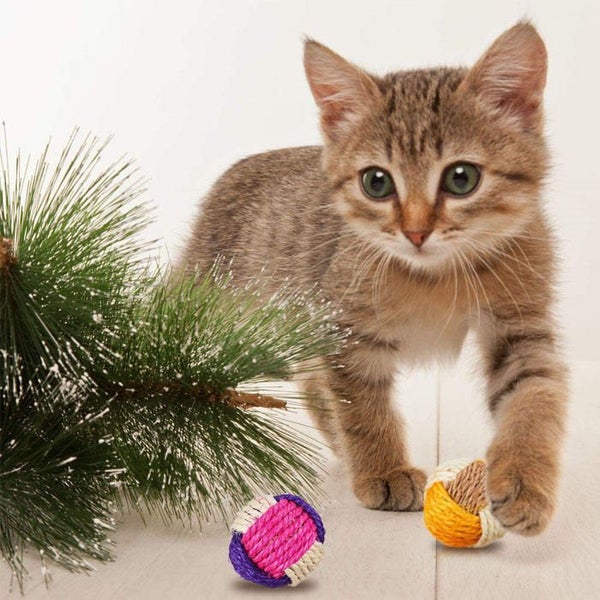 4Pcs Cat Toy Sisal Ball Pet Scratching Ball Chew Interactive Toy Carousel 6