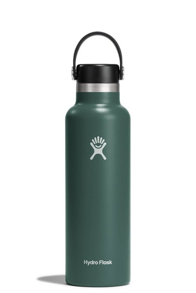 Hydro Flask 21oz (621ml) Standard Mouth Drink Bottle Fir Carousel 1