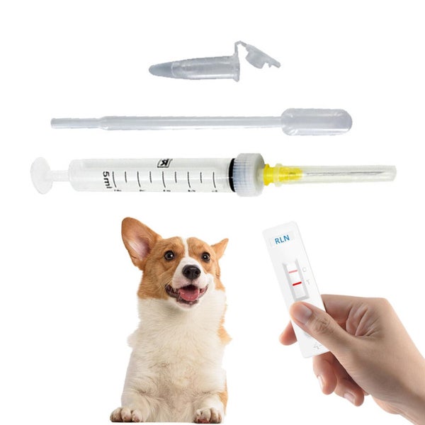 4PCS Pet Testing Kit Canine Pregnancy Dog Early Pregnancy Test Strip Canine Carousel 1