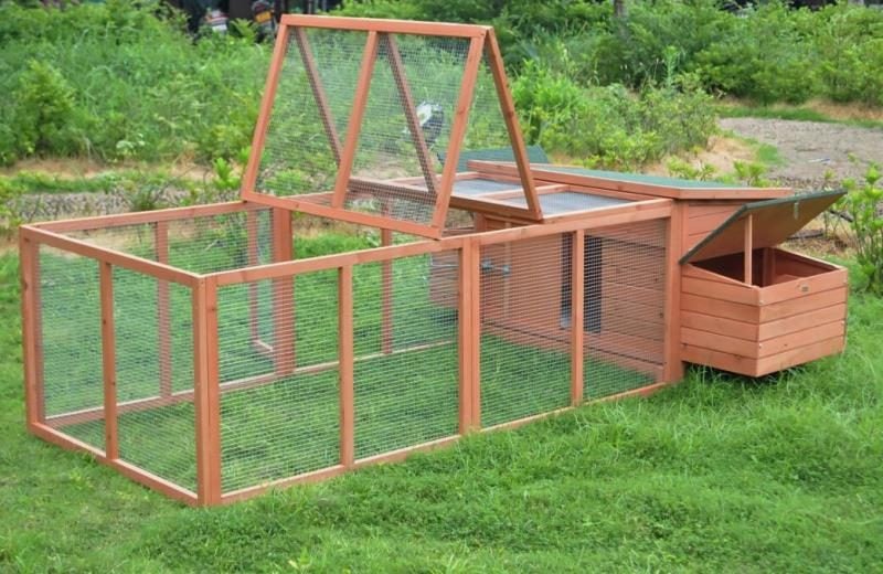 CHICKEN COOP + RUN XXXL Carousel 2
