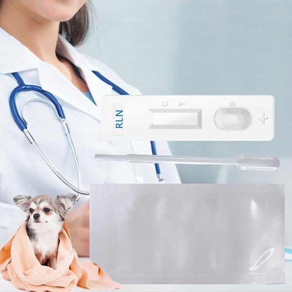 4PCS Pet Testing Kit Canine Pregnancy Dog Early Pregnancy Test Strip Canine Carousel 12